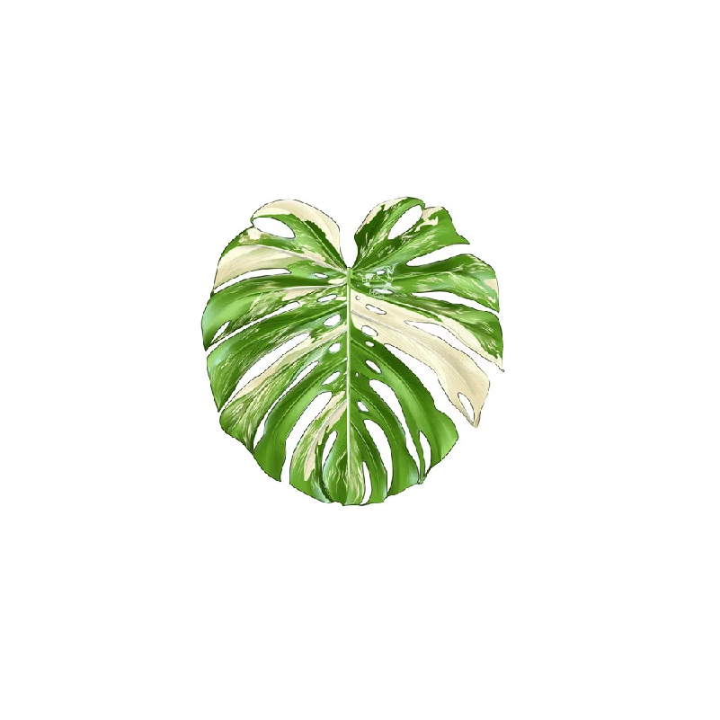 Anti‑Slip Heat‑Insulating Plac - Coffee Tea For Plants recension och pris